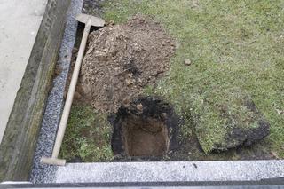 Pogrzeb Zofii Kucówny - cmentarz i grób