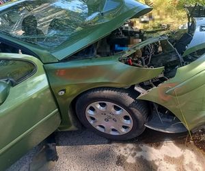 Jechali na obiad do rodziny. Rozbili się na drzewie. Dobrzy ludzie, zawsze pomocni