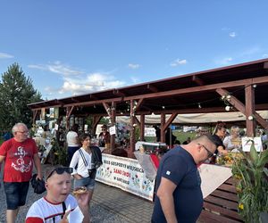 Eska Summer City Olsztyn na 10. edycji Festiwalu Koloryt cz.1