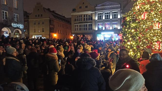 W sercu olsztyńskiej Starówki zapłonęła choinka! "Odpalamy święta" z Miejskim Ośrodkiem Kultury