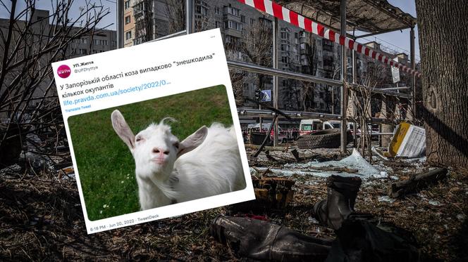 Ukraińska koza wysadziła w powietrze rosyjskich żołnierzy! Uruchomiła reakcję łańcuchową