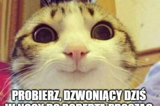 Finlandia - Polska: MEMY