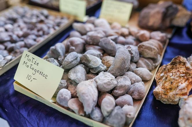 Międzynarodowa Wystawa i Giełda Minerałów, Skał i Skamieniałości w Sosnowcu