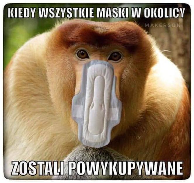 Maseczki ochronne: MEMY. Najlepsze obrazki, demotywatory i memy o maseczkach ochronnych