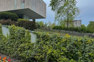 Ambasada Niderlandów w Warszawie