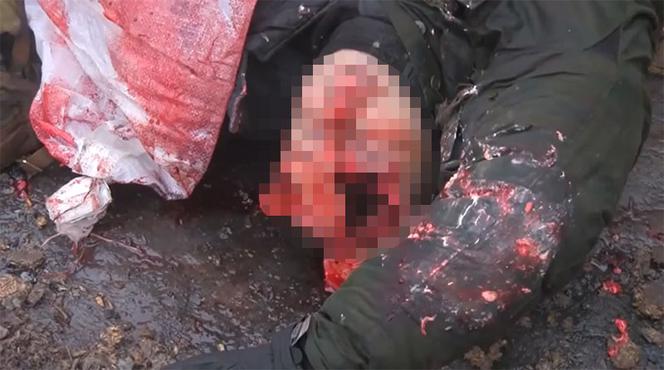 DRASTYCZNE! Rosyjskie BESTIE nie znają litości! Krew, [ZDJĘCIA i WIDEO +18]