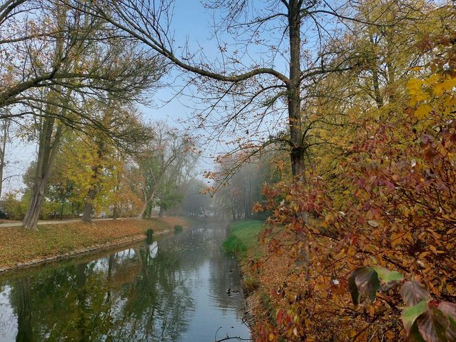 Zamojski Park jesienią