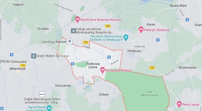 2. miejsce - Podkowa Leśna. Zamożność per capita w 2022: 9032,95 zł 