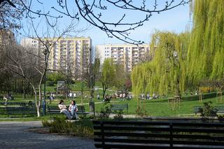 Jaka jest największa i najmniejsza dzielnica w Krakowie?