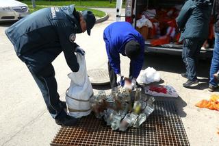 Tak pozbywali się nielegalnego alkoholu. W  oczyszczalni ścieków są tysiące litrów