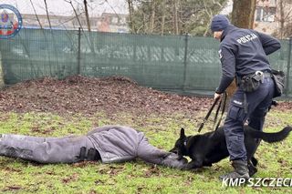 Nowe psy w zachodniopomorskiej policji