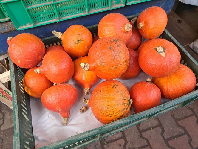 Ceny dyni 2025 na Nowym Kleparzu i Starym Kleparzu w Krakowie