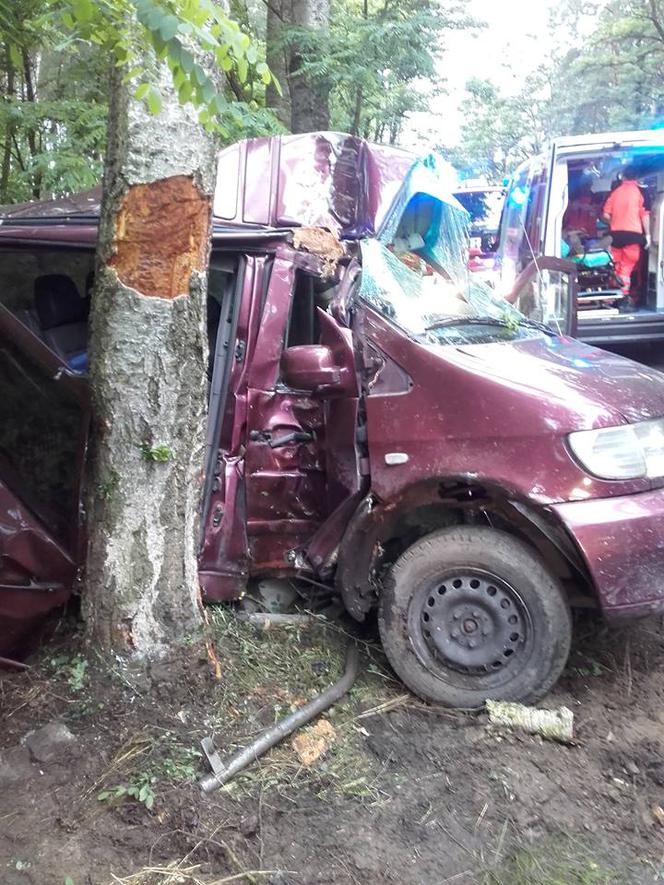 Groźny wypadek na drodze z Poznania [ZDJĘCIA]