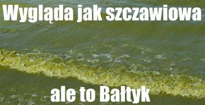 Wakacje rozpoczęte! Polacy ruszyli na plaże! Zobacz najlepsze MEMY!