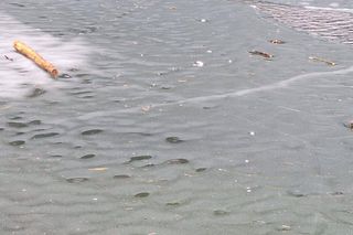 Morskie Oko zaśmiecone jak nigdy. To sprawka turystów. TPN opublikował zdjęcia.