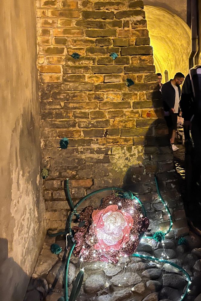 Nocy Kultury w Lublinie. Deszcz nikomu nie przeszkadzał