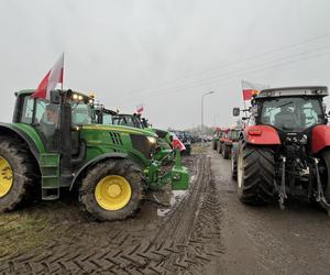 protest rolników 