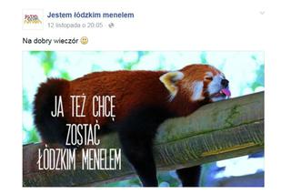 Jestem łódzkim menelem