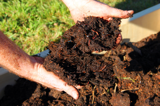 Kompost - doskonały nawóz organiczny. Jak zrobić kompost i dlaczego warto go stosować w ogrodzie?