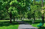 Park im. Henryka Jordana w Krakowie