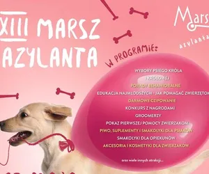 Psia para królewska zostanie wybrana ponownie! Zbliża się Marsz Azylanta 2023