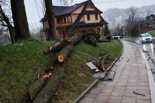 Tragedia w Zakopanem. Basia zginęła, jej pies przeżył