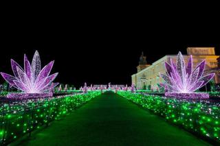 Królewski Ogród Światła w Wilanowie 2020 znów zachwyca! Kiedy można go odwiedzić? [GODZINY OTWARCIA, BILETY, CENY]
