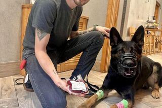 Pies honorowy krwiodawca