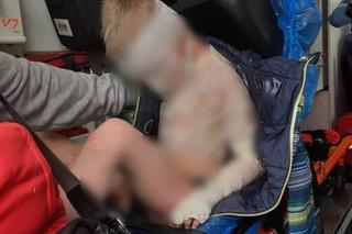 8-letni Kamilek z Częstochowy nie żyje. Lekarze od miesiąca walczyli o jego życie