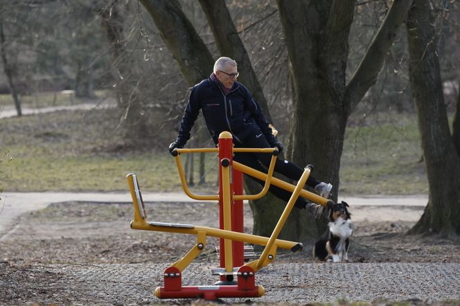 Senator Kwiatkowski jak guma