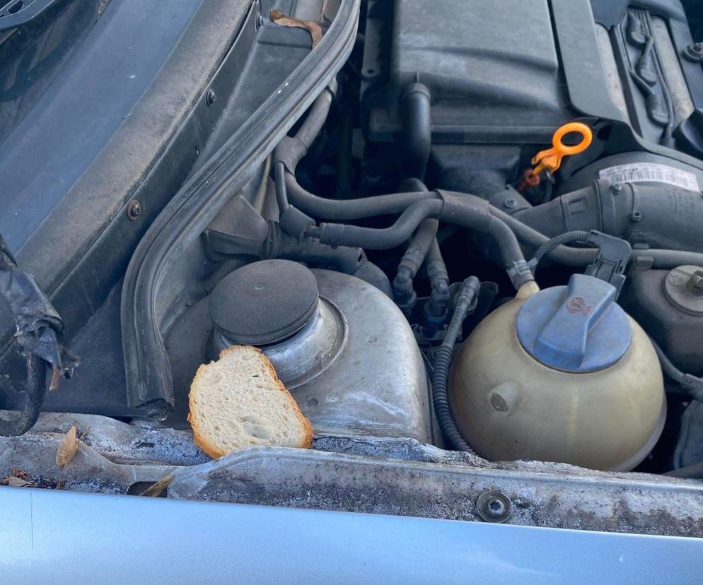 Chleb pod maską auta