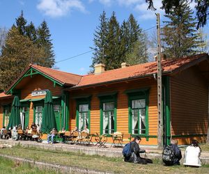 Białowieża - małe Zakopane w woj. podlaskim