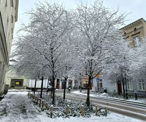 Leszno wygląda bajkowo! Na walentynki sypnęło śniegiem