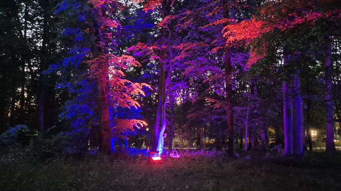 Olsztyn zamienił się w magiczną krainę. Park Świateł przyciągnął tłumy!