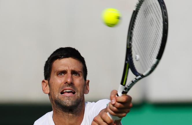 Novak Djoković, tenis, Serbia