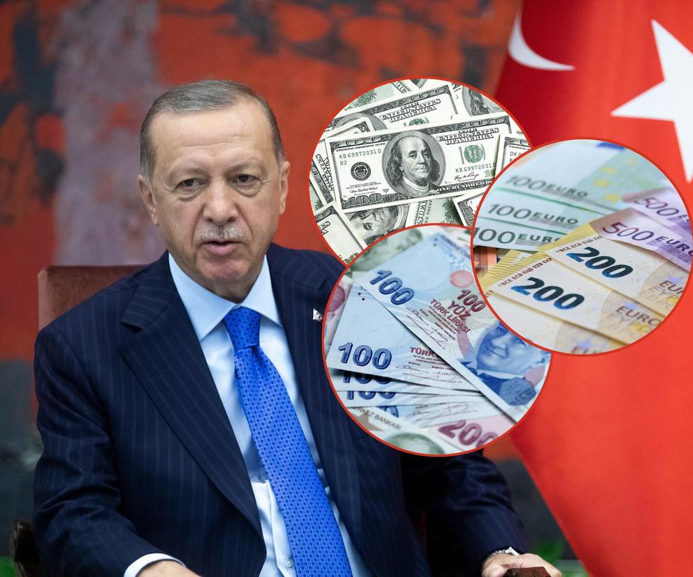 Sklejka Erdogan pieniądze