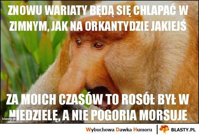 Morsowanie: MEMY 2021. Zobacz najlepsze obrazki i memy o morsowaniu! [ZDJĘCIA]