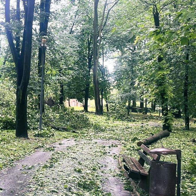 Armagedon w Kielcach i Świętokrzyskiem! Nawałnica wyrządziła dużo szkód