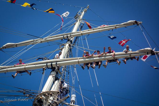 Regaty The Tall Ships Races 2020 jednak nie w tym roku!