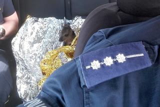 Sarenka uratowana przez policjanta