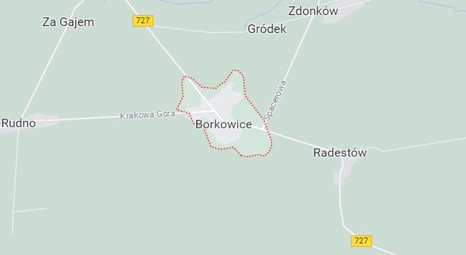Borkowice