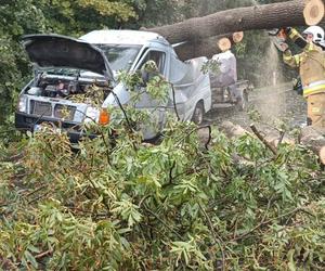 Gwałtowna burza nad Dolnym Śląskiem. Gradobicie, ulewa i mnóstwo zniszczeń