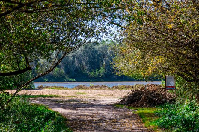 Plaża przy Moście Północnym – widok ze skraju plaży