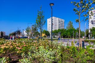 Przebudowa ul. Kondratowicza w Warszawie 2023