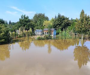 ieszkańcy w pocie czoła układają worki z piaskiem i zabezpieczają swoje budynki