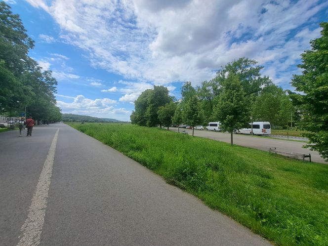 Błonia w Krakowie