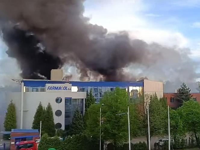 Gigantyczny pożar w Katowicach. Pali się hala Farmacol przy ul. Rzepakowej