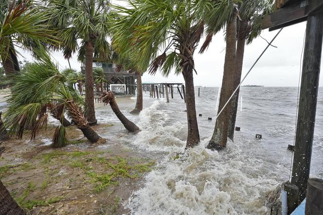 Huragan Debby wyrzucił na plaże kokainę wartą milion