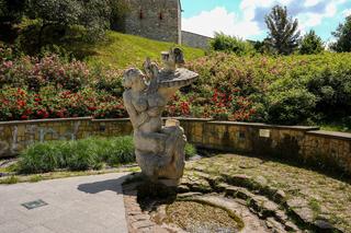 Nowe kwiaty i rośliny w Kielcach. Zobacz jak wyglądają