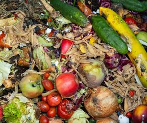  Gdzie wyrzucić zepsute jedzenie? Sprawdź, czy robisz to dobrze